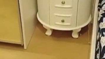 Bokep Ngentot Janda Kembar Menyekap Adik Bungsu